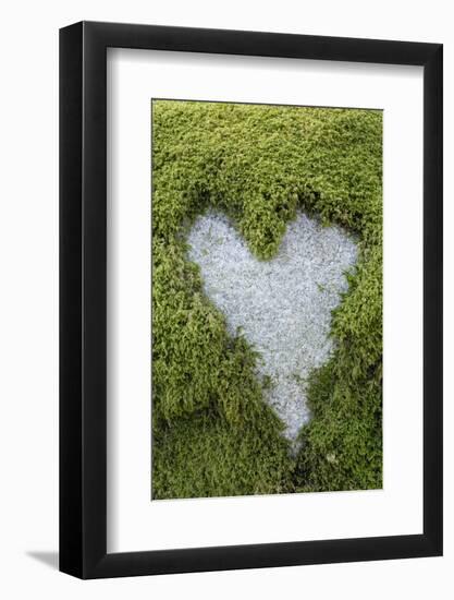 Love Heart Shape in Moss on Granite Bolder-Gary Cook-Framed Photographic Print