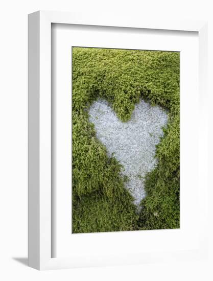 Love Heart Shape in Moss on Granite Bolder-Gary Cook-Framed Photographic Print