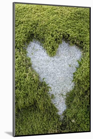 Love Heart Shape in Moss on Granite Bolder-Gary Cook-Mounted Photographic Print