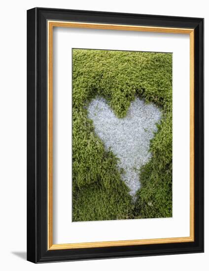 Love Heart Shape in Moss on Granite Bolder-Gary Cook-Framed Photographic Print