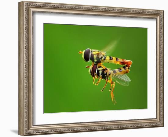 Love in the Air-Gunarto Song-Framed Photographic Print