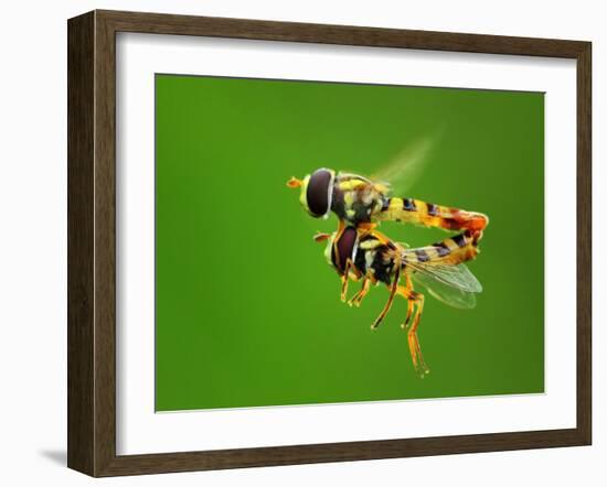 Love in the Air-Gunarto Song-Framed Photographic Print