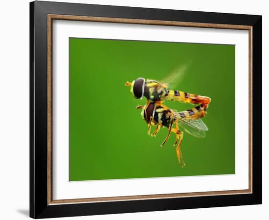 Love in the Air-Gunarto Song-Framed Photographic Print