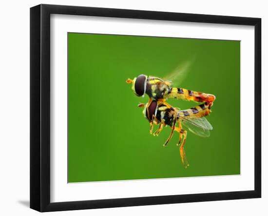 Love in the Air-Gunarto Song-Framed Photographic Print