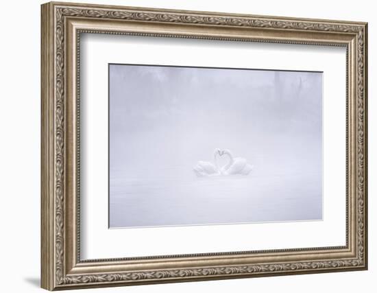 Love in the foggy morning-Joan Zhang-Framed Photographic Print