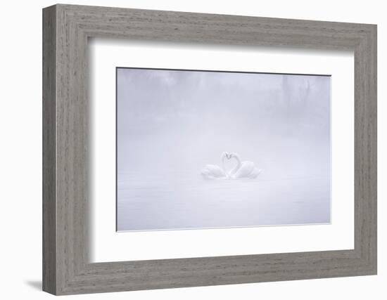 Love in the foggy morning-Joan Zhang-Framed Photographic Print