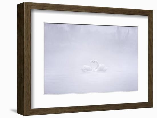 Love in the foggy morning-Joan Zhang-Framed Photographic Print