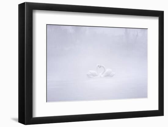 Love in the foggy morning-Joan Zhang-Framed Photographic Print