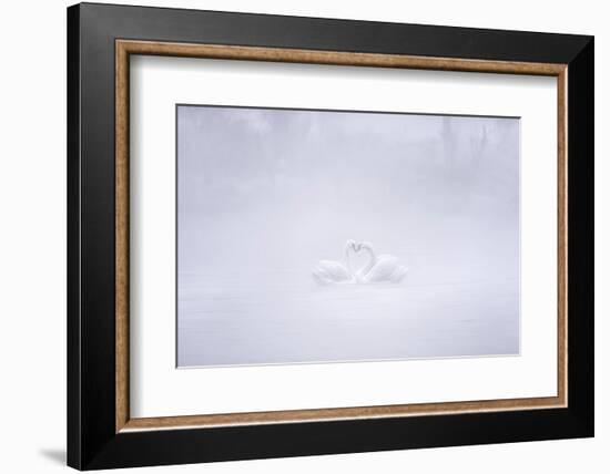 Love in the foggy morning-Joan Zhang-Framed Photographic Print