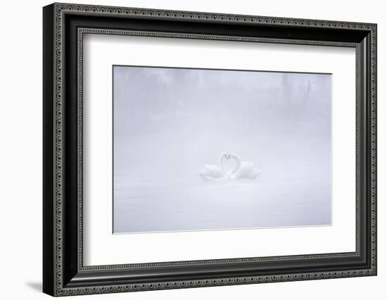 Love in the foggy morning-Joan Zhang-Framed Photographic Print