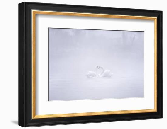 Love in the foggy morning-Joan Zhang-Framed Photographic Print