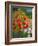 Love in the Garden (Oil on Board)-William Ireland-Framed Giclee Print