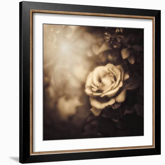 Love in the Light-Philippe Sainte-Laudy-Framed Photographic Print