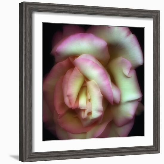 Love is a Rose-Nathan Griffith-Framed Photographic Print