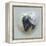 Love Is in the Air - Skunk-Peggy Harris-Framed Premier Image Canvas
