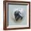 Love Is in the Air - Skunk-Peggy Harris-Framed Giclee Print