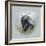 Love Is in the Air - Skunk-Peggy Harris-Framed Giclee Print