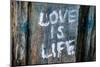 Love is Life Graffiti-null-Mounted Photo