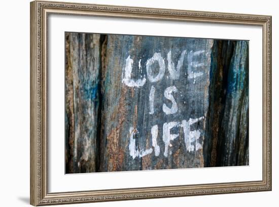 Love is Life Graffiti-null-Framed Photo