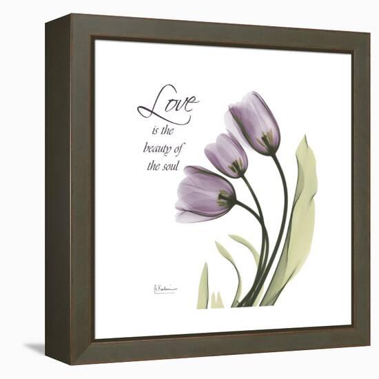 Love is the Beauty-Albert Koetsier-Framed Stretched Canvas