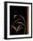 Love Leaps II-Jennifer Perlmutter-Framed Giclee Print