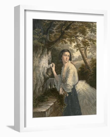 Love Letter in Tree-null-Framed Art Print