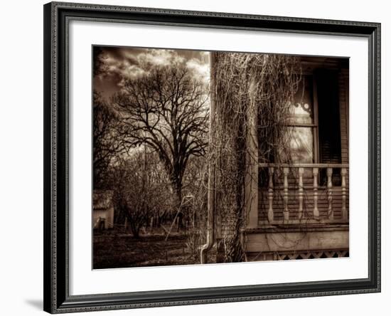 Love Lost-Stephen Arens-Framed Photographic Print