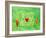 Love Maze, 2004-Julie Nicholls-Framed Giclee Print