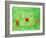 Love Maze, 2004-Julie Nicholls-Framed Giclee Print