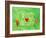 Love Maze, 2004-Julie Nicholls-Framed Giclee Print