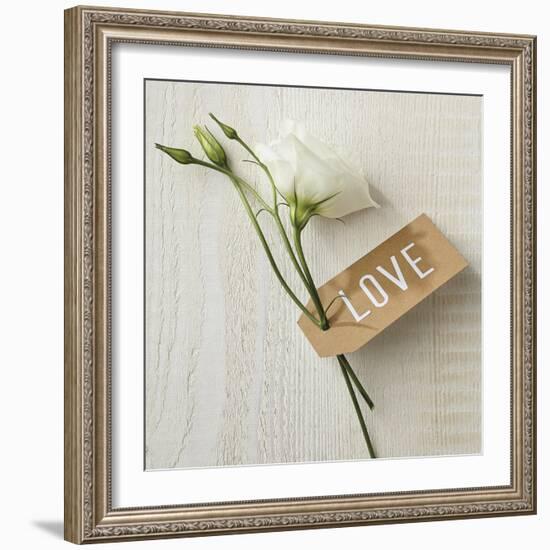 Love Note - Corsage-Camille Soulayrol-Framed Giclee Print