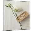 Love Note - Corsage-Camille Soulayrol-Mounted Giclee Print