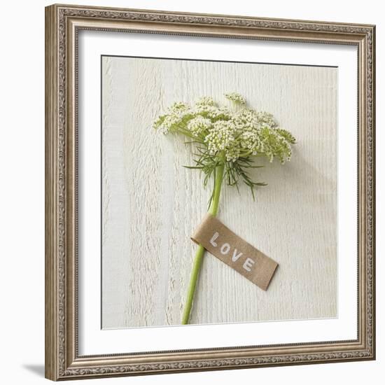 Love Note - Posy-Camille Soulayrol-Framed Giclee Print