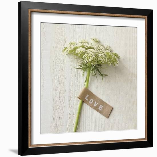 Love Note - Posy-Camille Soulayrol-Framed Giclee Print