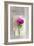 Love Note-Sarah Gardner-Framed Photographic Print