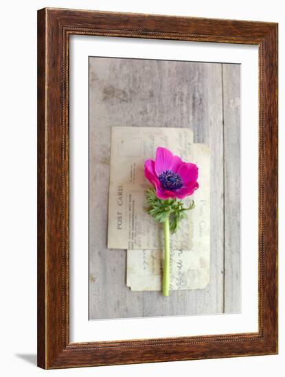 Love Note-Sarah Gardner-Framed Photographic Print