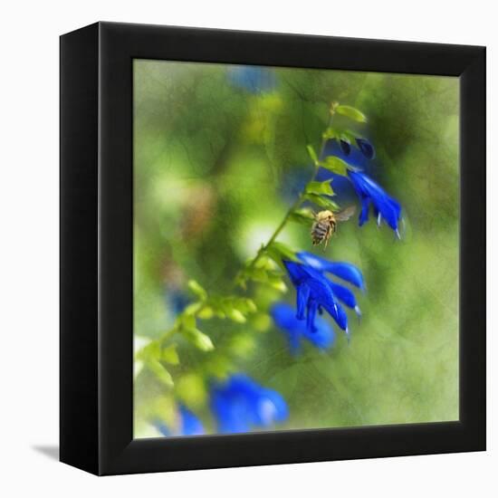 Love of Spring-Viviane Fedieu Daniel-Framed Premier Image Canvas