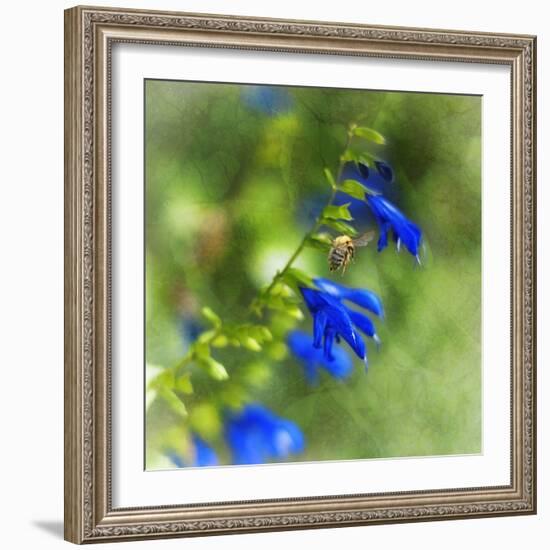 Love of Spring-Viviane Fedieu Daniel-Framed Photographic Print