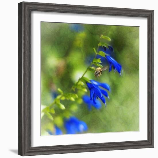 Love of Spring-Viviane Fedieu Daniel-Framed Photographic Print