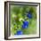 Love of Spring-Viviane Fedieu Daniel-Framed Photographic Print