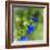 Love of Spring-Viviane Fedieu Daniel-Framed Photographic Print