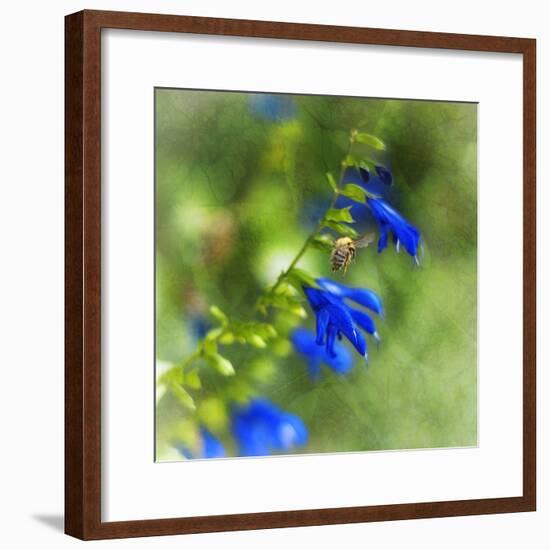 Love of Spring-Viviane Fedieu Daniel-Framed Photographic Print