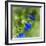 Love of Spring-Viviane Fedieu Daniel-Framed Photographic Print