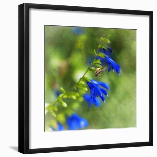 Love of Spring-Viviane Fedieu Daniel-Framed Photographic Print