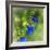 Love of Spring-Viviane Fedieu Daniel-Framed Photographic Print