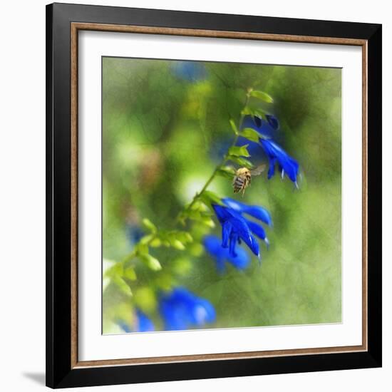 Love of Spring-Viviane Fedieu Daniel-Framed Photographic Print