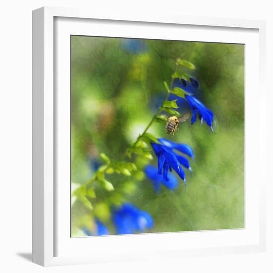 Love of Spring-Viviane Fedieu Daniel-Framed Photographic Print