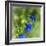 Love of Spring-Viviane Fedieu Daniel-Framed Photographic Print