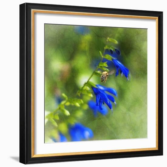 Love of Spring-Viviane Fedieu Daniel-Framed Photographic Print