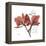 Love Orchid-Albert Koetsier-Framed Stretched Canvas